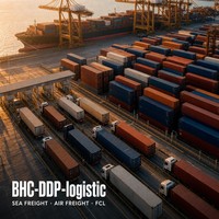 Agent d'expédition efficace BHC FCL LCL Chine vers Rutland Vermont Transport spécial Semelles en laine mérinos