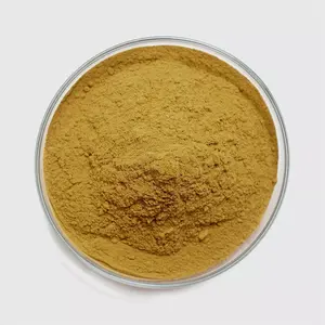 Top Quality Korean Red Ginseng Extract Powder 101 Red Ginseng Powder