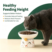 Gamelle surélevée en céramique pour chat, inclinée, protection du cou, vente en gros, OEM, ODM, fournisseur de logos personnalisés