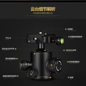 Fourniture Q 666 10KG 62 ''Charge portable Photographe Équipement appareil photo numérique trépied Voyage Trépied Monopode caméra 158cm - Product Image 4