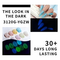 Venta al por Mayor de Esmalte de Uñas Luminoso de 15 ml, Brillo en la Oscuridad, Semipermanente, Gel UV, Barniz para Uñas, Proveedores de Esmalte de Uñas, OEM Personalizado