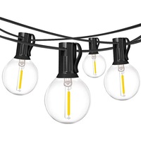 Ampoule à filament LED G40 1W, culot E12, en PC, pour usage extérieur, 220V, 3V, pour guirlandes lumineuses décoratives pour la maison et les jardins