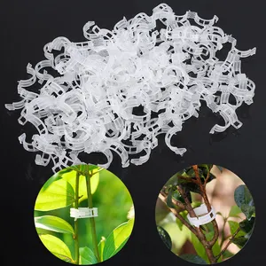 50 unids/set planta de plástico Clips apoya conecta reutilizable protección injerto fijación herramienta suministros de jardinería para tomate vegetal