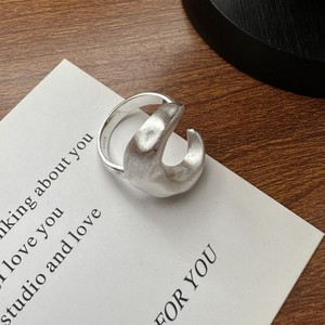 Anillo de Plata de Ley S925 con Textura Mate, Estilo Coreano, Tendencia Coreana, Estilo INS, Minimalista, Venta al por Mayor - Product Image 1