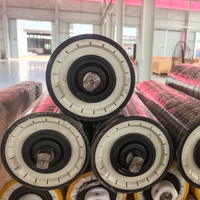 Rouleaux en HDPE pour convoyeur à bande industriel, traitement UHMWPE, matériau PE, découpe sur mesure disponible