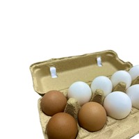 Precio Competitivo, Calidad Superior, Cartón Rectangular de Papel Reciclado Personalizado para 10 Huevos, Empaque de Alimentos, Nueva Llegada
