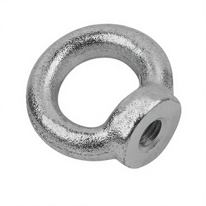 แหวนรัดเกลียวแบบยึดติด DIN582, M16, เหล็ก 1.1141 ชุบกัลวาไนซ์ - Product Image 1
