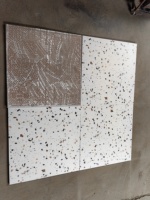 Carrelage pour salle de bain et toilettes Céramique