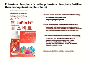 Fertilizante orgánico transparente <span class=keywords><strong>para</strong></span> plantas con fósforo y potasio mejora el crecimiento general de los cultivos y la expansión de los frutos - Product Image 6