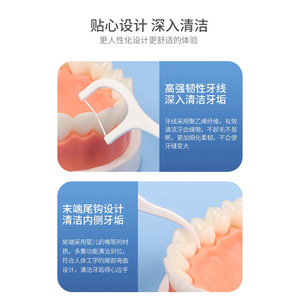 Fil dentaire 100 pièces par sachet, cure-dents jetables pour l'hygiène buccale, cure-dents portables pour le nettoyage des dents - Product Image 3