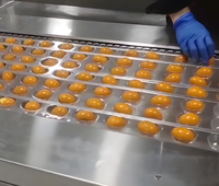 Mesin Pembungkus Vakum Otomatis Elemotion untuk Termoforming, Pengisian, dan Pembungkus Makanan seperti Bakso Ikan, Daging Sapi, Makanan Laut, Mentega, dengan Film Stretch Food-Grade