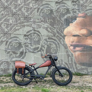 <span class=keywords><strong>2025</strong></span> Mới Tùy Chỉnh Điện Cổ Điển Khung Hợp Kim 36V 250W 120Km Phanh Đĩa Thủy Lực Hai Pin Lithium Xe Đạp Điện Fatbike - Product Image 6