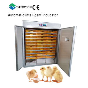 Incubateurs électriques entièrement automatiques pour l'éclosion des œufs, plateaux d'incubation pour œufs de caille et de poulet - Product Image 3