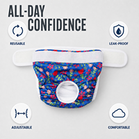 OKPET HERE Culottes absorbantes lavables et réutilisables pour chienne, avec taille ajustable, pour la période de chaleur, accessoires pour chien OEM ODM