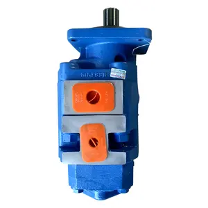 Original China Top 1 spare parts P5100-F63G10G 803004079 1115132507 spare parts hydraulic double pump