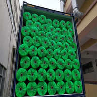 Couvertures végétales en tissu non tissé Couvertures de protection des plantes Couverture agricole