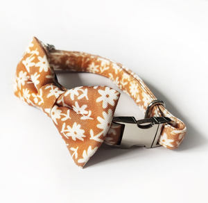 조정 가능한 럭셔리 작은 꽃 프린트 천 나비 넥타이 세트 작은 애완 동물을위한 버클이있는 우아한 애완 동물 목걸이 - Product Image 4