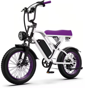 ENTREPÔT OUTRE-MER OEM/ODM Vélo électrique tout-terrain à pneus larges de 20 pouces (modèle G60) - En stock aux États-Unis Batterie amovible 48V 15Ah 1500W - Product Image 3