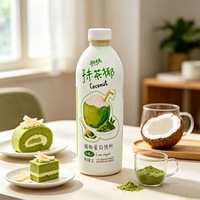 Boisson au matcha et à la noix de coco, boisson protéinée à base de plantes, faible en sucre, boisson saine pour le petit-déjeuner