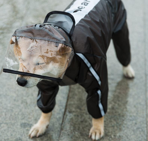 Recién llegado, Material transparente de TPU, capucha grande, protege la cara del perro, Mono para mascotas, <span class=keywords><strong>chubasquero</strong></span> para perros con tiras reflectantes - Product Image 6