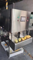 1000 Stuks Per Uur Fruit Mango Schilmachine Mango Dunschiller Machine Mango Kern Verwijdering Machine
