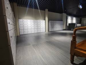 رفوف قفل إلكترونية ومفتاح ، خزانات للفندق والصالة الرياضية ، خلع عدوي الهيكل ، حذاء - Product Image 3