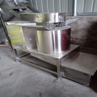 De Professionele Automatische Productielijn Van Fruitleer Omvat De Snijder Van De Puree Van De Strooier En De Oprolmachine