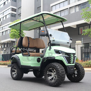 Kamp 4 tekerlek Golf arabası 2 + 2 kişilik benzinli Buggy lüks kaldırılmış gaz Powered Golf arabası - Product Image 4