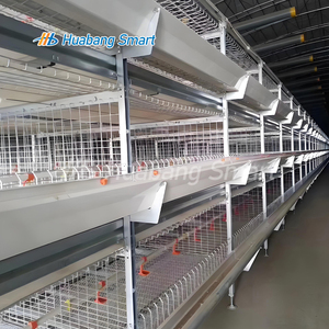 Cage à poulets de type H galvanisée à chaud, système de cages avicoles automatiques, équipement pour poulets de chair et pondeuses avec système <span class=keywords><strong>d</strong></span>'évacuation du fumier - Product Image 3