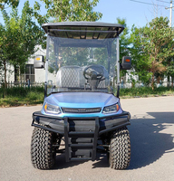 Voiturette de golf électrique multi-places en gros, buggy utilitaire résistant aux intempéries et respectueux du gazon pour les zones panoramiques en plein air