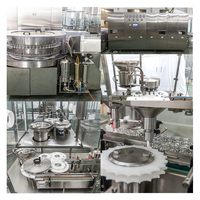 Machine de remplissage, scellage et capsulage Hebo pour bouteilles en verre de 40BPM, idéale pour l'emballage de beurre en conserve