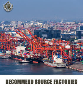 البضائع الخطرة الشحن البحري إلى ألمانيا مع شهادة IMDG والمناولة المهنية - Product Image 5