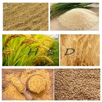 Machine à décortiquer le riz commerciale pour les petites rizeries, le traitement des céréales agricoles et les lignes de production de riz