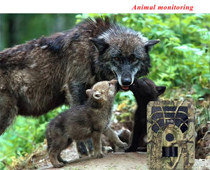 Caméra de surveillance de sentier étanche 4K à détection de mouvement avec vision nocturne, longue durée de vie de la batterie, caméra de chasse pour la surveillance en extérieur - Product Image 5