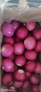 Toàn Bộ Bán Buôn Màu Đỏ Vàng Trắng Màu Xanh Lá Cây Da Crop Bóc Vỏ Màu Tím Hữu Cơ Đông Lạnh Tươi Rau Hành Tây Giá Từ Nhà Máy Nhà Cung Cấp - Product Image 3