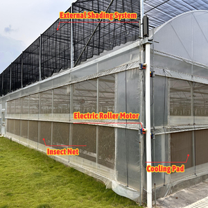 Serre agricole commerciale en film plastique PE multispan, serre gothique tropicale pour la culture des tomates - Product Image 4