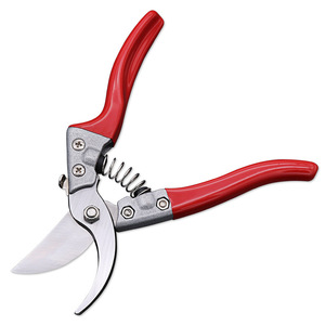 Jolies cisailles de jardin en acier inoxydable, cisailles à enclume manuelles pour l'élagage du jardin - Product Image 1