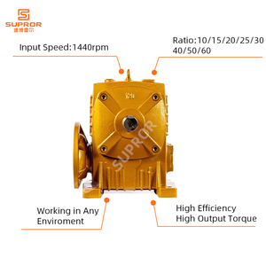 Riduttore WP40/50/60/70/80/100/120 riduttore a vite senza fine industriale cinese WP WPA WPO WPX riduttore <span class=keywords><strong>di</strong></span> <span class=keywords><strong>velocità</strong></span> - Product Image 4
