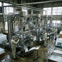 Machine d'emballage et de scellage entièrement automatique à grande vitesse pour la fabrication de sacs de glaçons, de sucettes glacées, de bâtonnets et de granulés solides