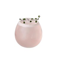 Verre rond givré ménage filles mignon Transparent tasses à boire boissons froides jus Latte tasses à café