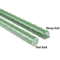 Tomate Plant Support Piquet PE Enduit Métal En Plastique Jardin Treillis Piquet Fleur Bâton