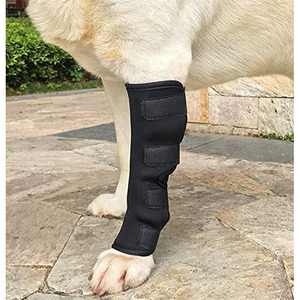 <span class=keywords><strong>Harness</strong></span> Anjing Kucing Ukuran Ekstra Besar, Bahan Poliester Sederhana, Tahan Lama, Dapat Disesuaikan, Penutup Ritsleting, Untuk Cedera, Keseleo, Arthritis, Kehilangan - Product Image 4