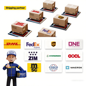 Consolidamento FCL Economico, Sicuro ed Efficiente dalla Cina all'India e <span class=keywords><strong>Pakistan</strong></span>, Container 40HQ/40GP/20GP, Assicurazione, Trasito 15-40 Giorni - Product Image 4