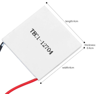 Module de refroidisseur thermoélectrique Peltier Tec, haute qualité, fiable, 40x40mm, Tec1-12704