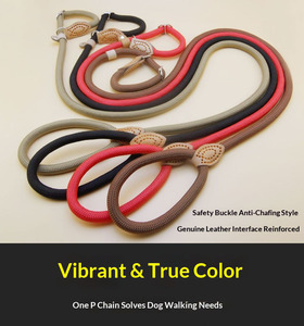 Guinzaglio per Cani di Taglia Grande con Design Integrato, Facile da Indossare e Sganciare, Allungato e Rinforzato, Antiesplosione - Product Image 6