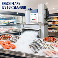 Machine à glace en flocons CE haute productivité pour usine, capacité 1t/jour, avec compresseur 220V, idéale pour l'industrie agroalimentaire