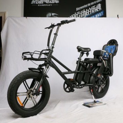 EN 15194 Electric Bicycle E Bike Electric Bicycle 1000 w Dual Battery Electric Bicycle China with Basket Food Cargo Delivery