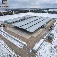 Abri pour moutons et chèvres de ferme moderne, économique, à construction rapide, en structure acier préfabriquée, abris surélevés à vendre