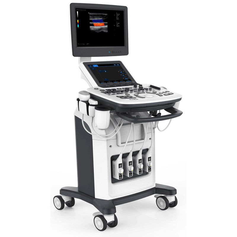 The Real time 4D Color Doppler