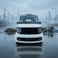 Voiture électrique mini 4 portes blanche très vendue, 4 places, autonomie 101-200 km, véhicule électrique fermé pour les trajets quotidiens en ville